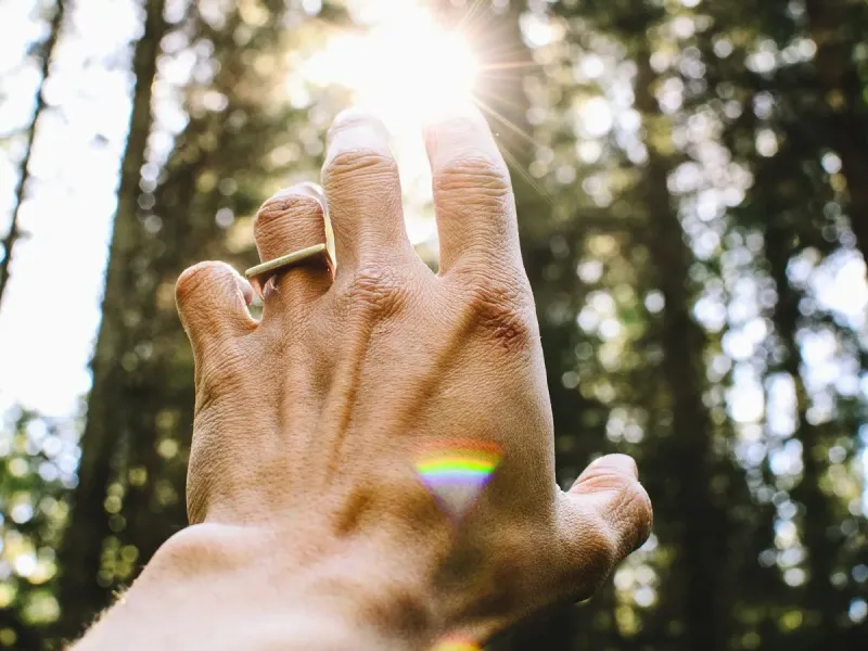 Main tendue vers la lumière du soleil à travers les arbres d'une forêt
